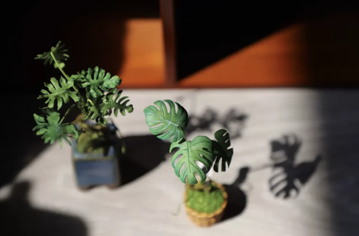 1:6 Miniature Plant Set, Handmade Realistic Fern Maple Caladium Potted,Exclusive Custom Sizes BJD Dollhouse Garden Bjd Decor Art