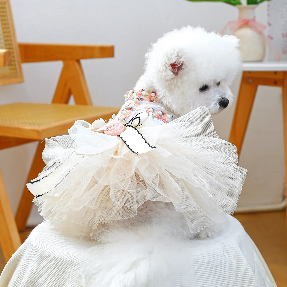 petcircle-abbigliamento-per-cani-di-taglia-media-e-piccola-accessori-per-animali-vestito-per-cani-con-fiori-tridimensionali-e-profumati