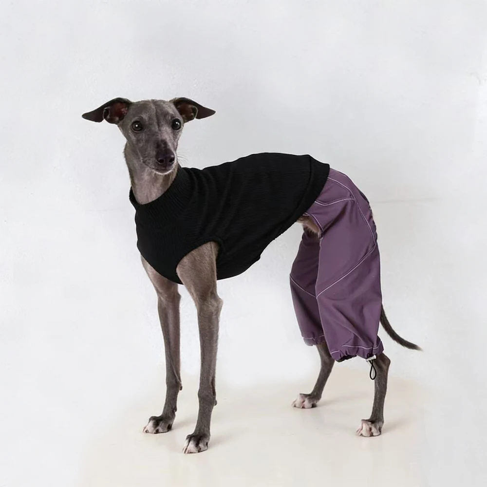 Pantalones de Algodón Ajustables de Moda para Perros Whippet, Abrigo de 4 Patas para Perros Galgo Italiano en Primavera, Verano y Otoño