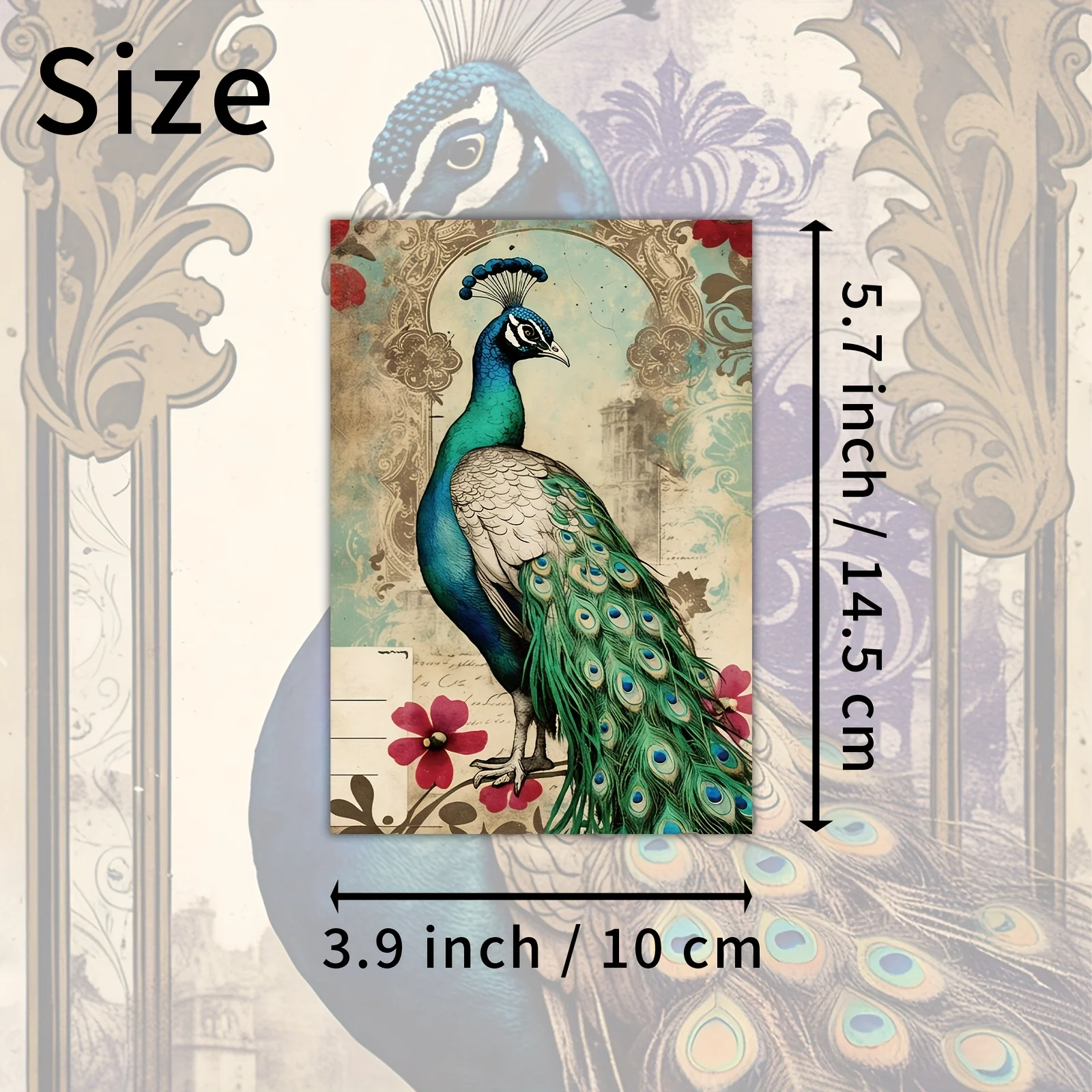 20PCS Retro Peacock Postcard Set, Including Classic Beauty Art, Collectible Decorative Cards, Used for Scrapbooks