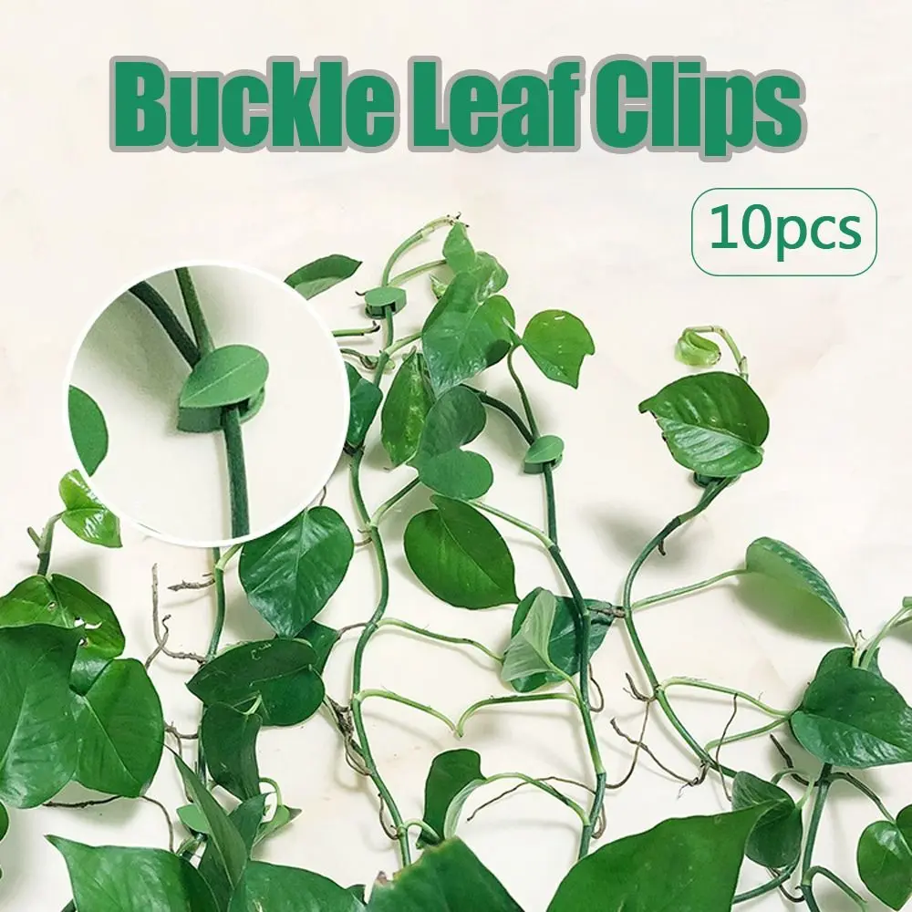 

10Pcs Wall Fixer Buckle Leaf Clips Self-Adhesive Plant Climber Fixed Buckle Flower Vine Garden Accessories Plant Clip