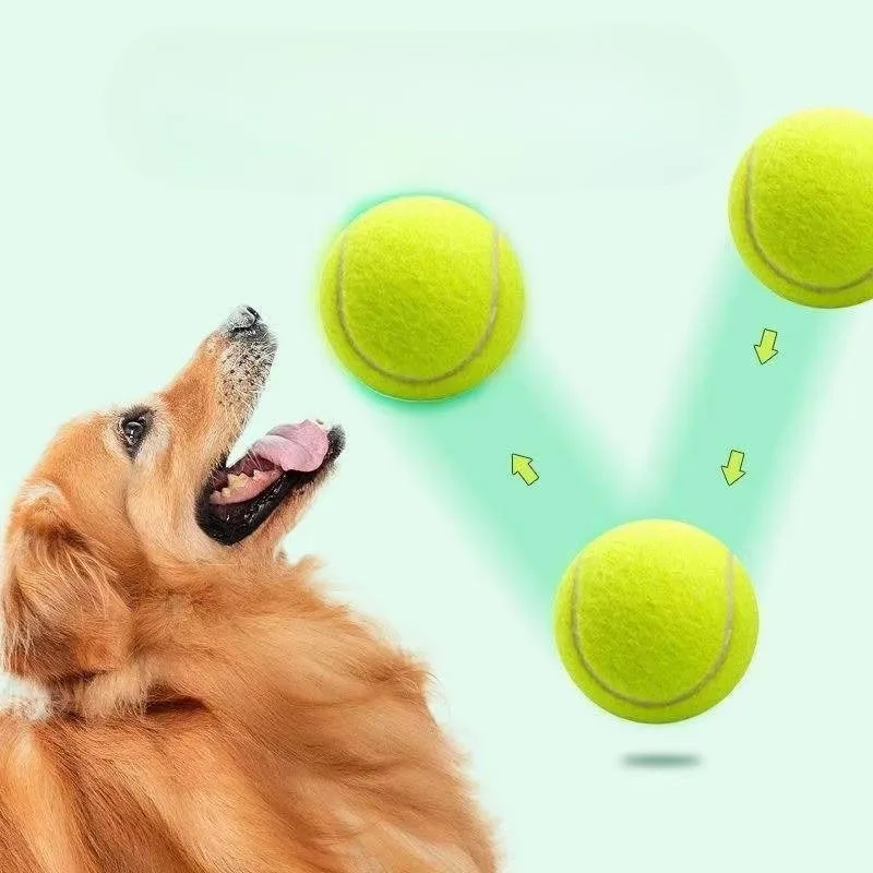 Pelotas de Tenis para Perros, Tamaño de 2 Pulgadas, Compatibles con la Mayoría de los Lanzadores Automáticos de Pelotas, Ideal para Perros Pequeños (Solo 12 Pelotas)