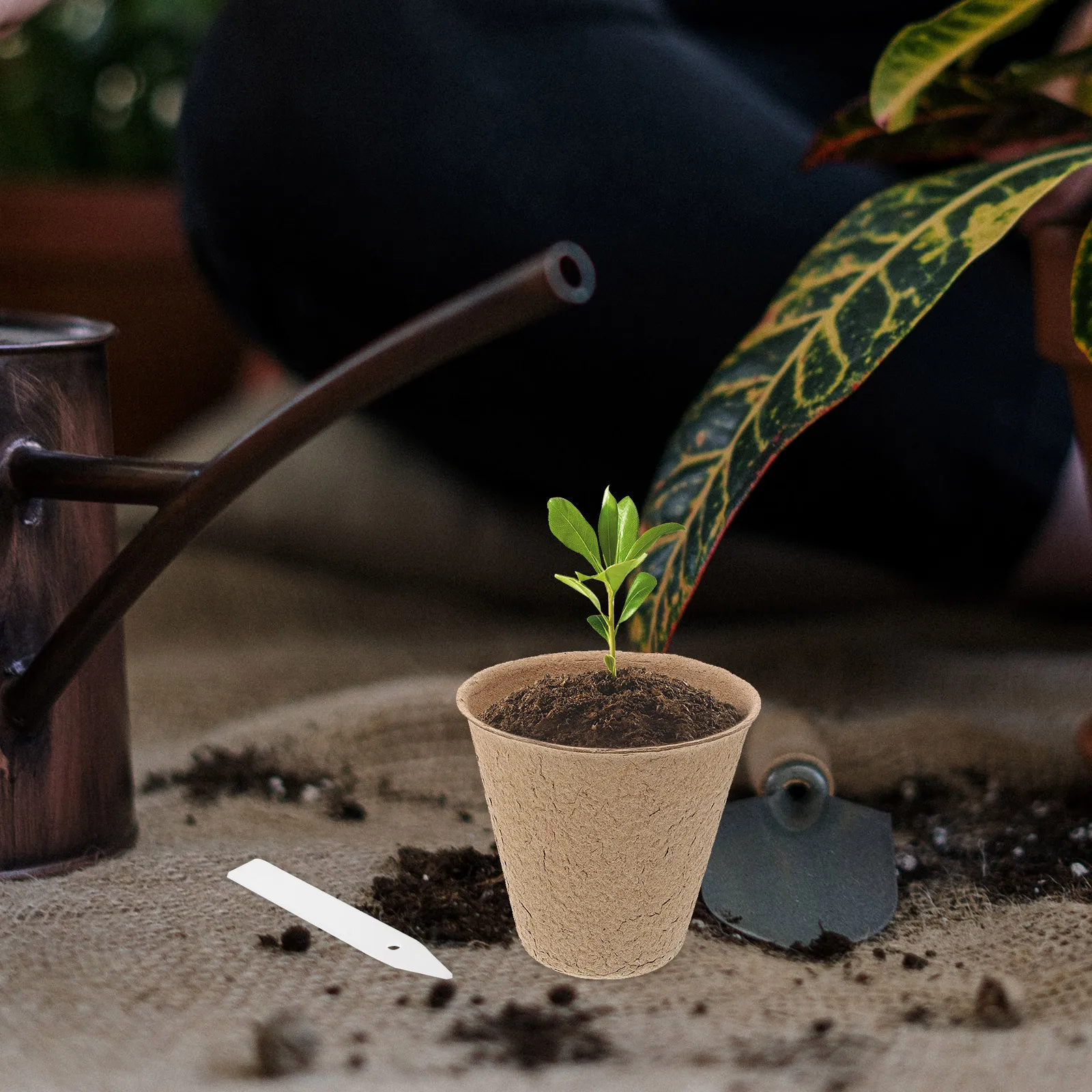 

110Pcs Nursery Seedlings Pot Biodegradable Starter Peat Pots Transplant Planting Germination Pot Garden Tool