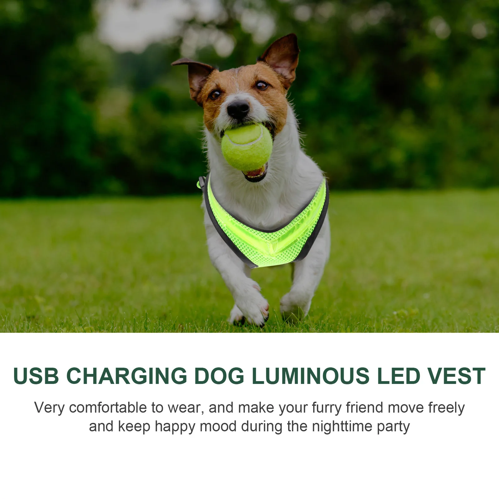 

1Set Luminous LED Dog Vest USB Rechargeable Glow Pet Vest Comfortable Fit for Night Outdoor Walking Puppy Cat Wear
