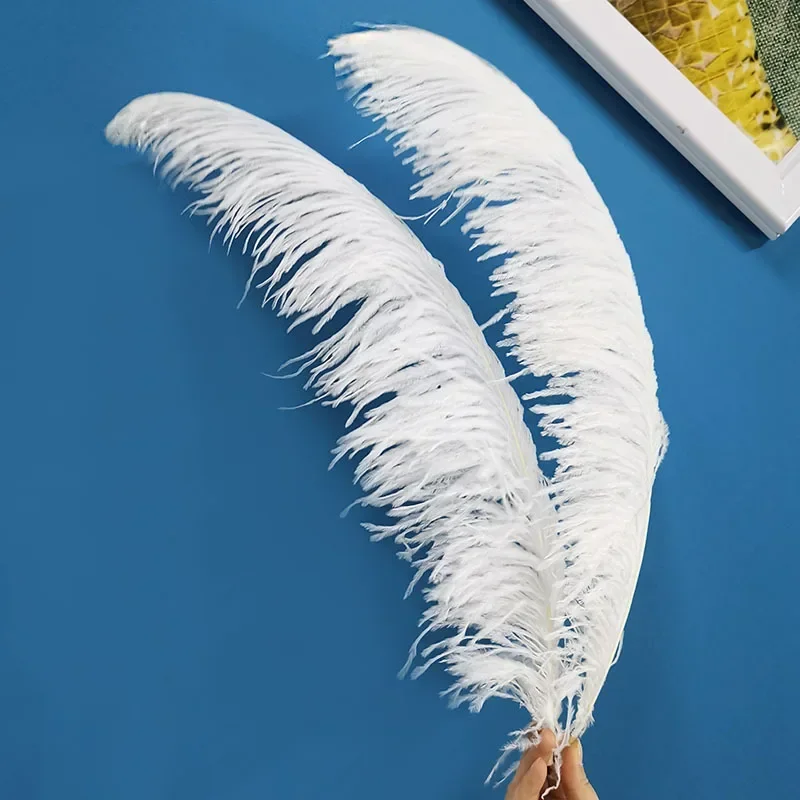 10pcs Big Ostrich Feathers for Decoration Plumes Decor 60-65cm Ostrich Feather Holiday Vase Party Table Centerpieces Accessories