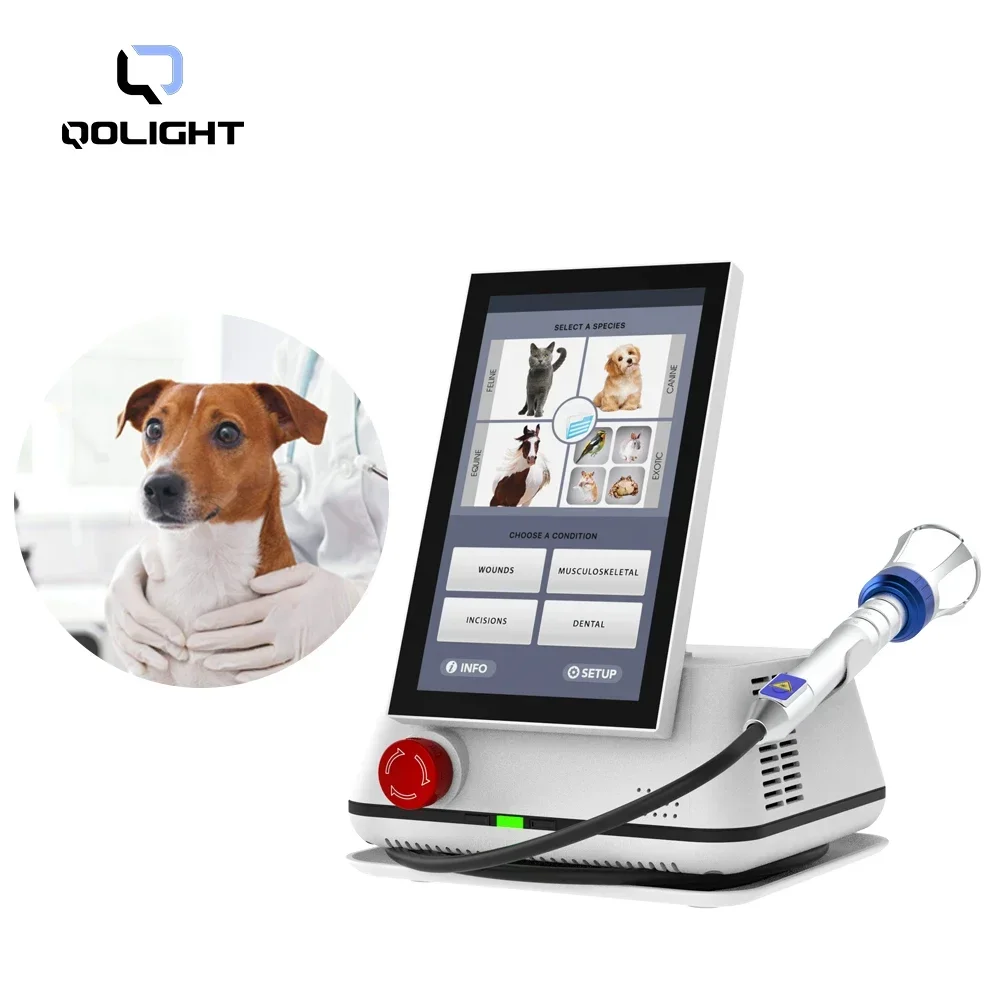 Class IV Therapy Laser for Pet Hospital High Power Veterinary Laser Equipment