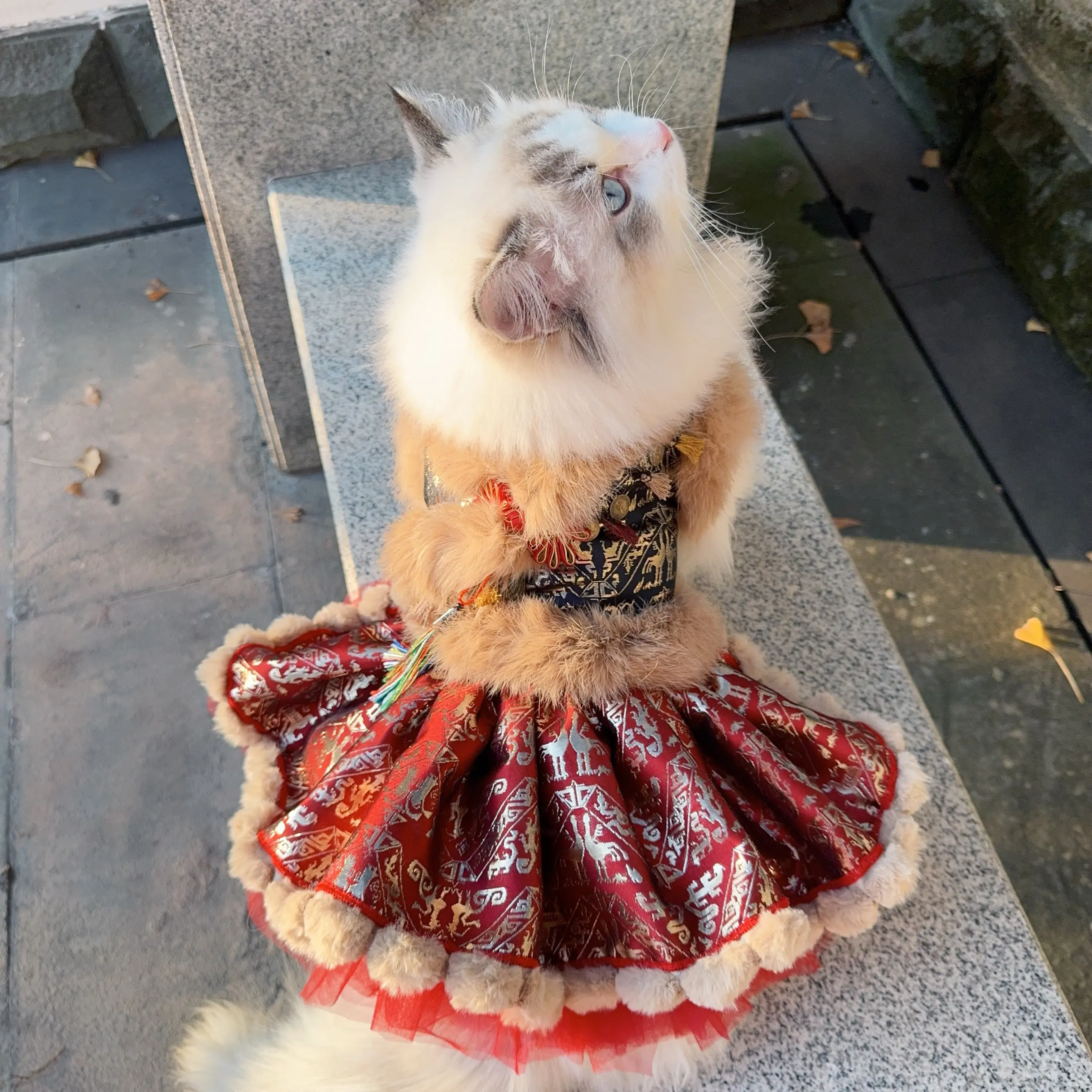 Retro Brown Ethnic Style Pet Dog Clothes Luxury Handmade Embroidery Print Plush Princess Coat Dress For Small Medium Dog Puppy