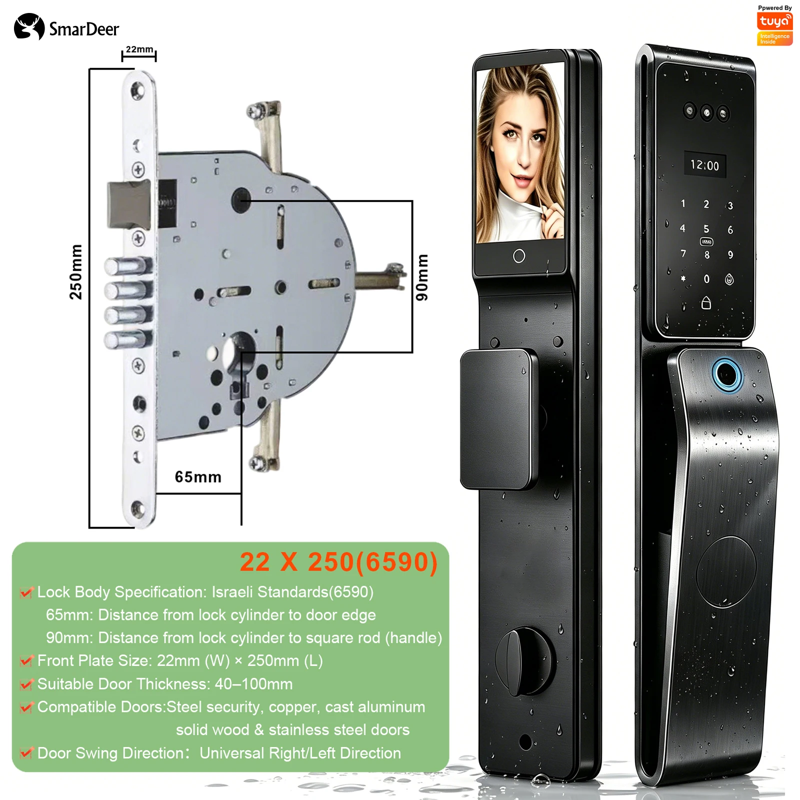 SmarDeer IP66 Outdoor waterdicht slim slot, 3D gezichts- en palmaderherkenningsslot, Tuya WiFi sleutelloos toegang beveiligingsslot
