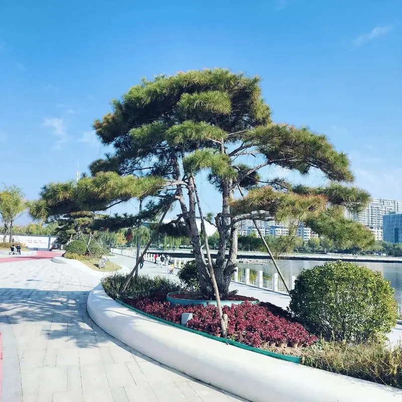 25T Servo Arm Tooth…