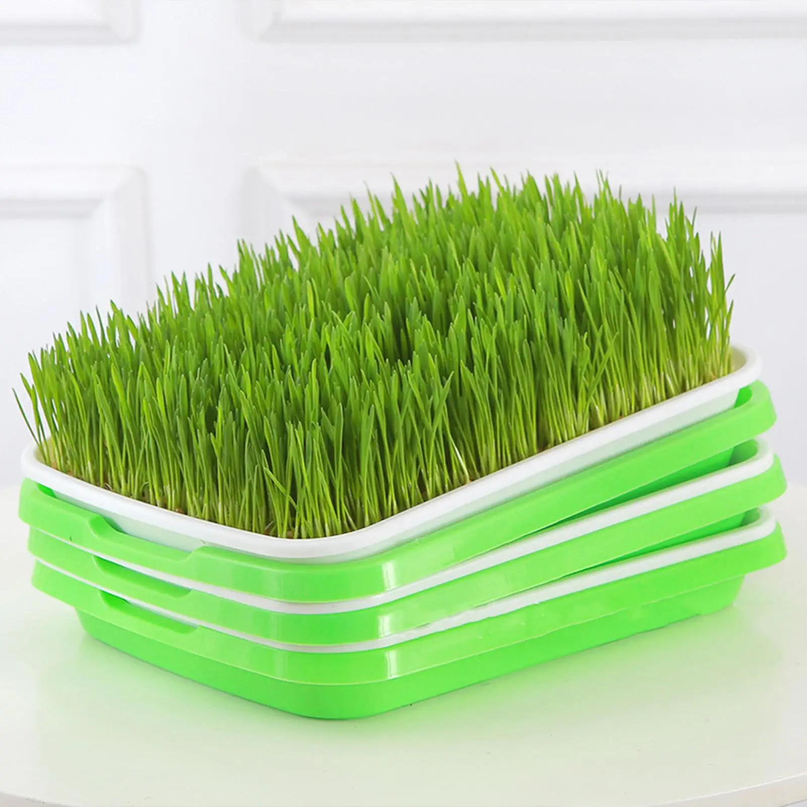 Germination Tray Reusable Plant Tray Hydroponic Propagators For Indoor Gardening Catcher Trimming Breeding Flower Grass Watering