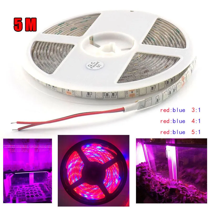 

5 м светодиодная лента для выращивания растений, фитолампа постоянного тока 12 В, 5050 чипов для овощей, цветов, гидро-теплицы, комнатная палатка для выращивания растений
