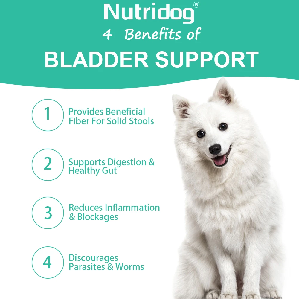 NUTRIDOG الكلب الشرج الغدة دعم اليقطين البذور البروبيوتيك الإنزيمات الهضمية سكوتر الإغاثة صحة الجهاز الهضمي 120 قطعة/زجاجة #6