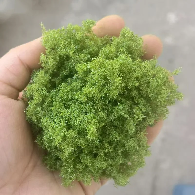 22G Simulatie Boom Poeder Groene Plant Getuft voor DIY Miniatuur Lowland Struik Borstelige Tuft Architectuur Gebouw Modelspoor