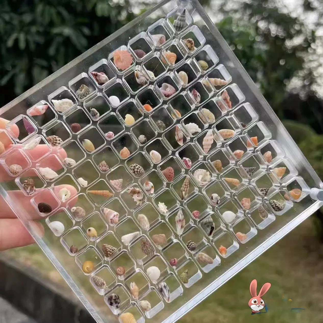 Acrylic Gold Bead S…