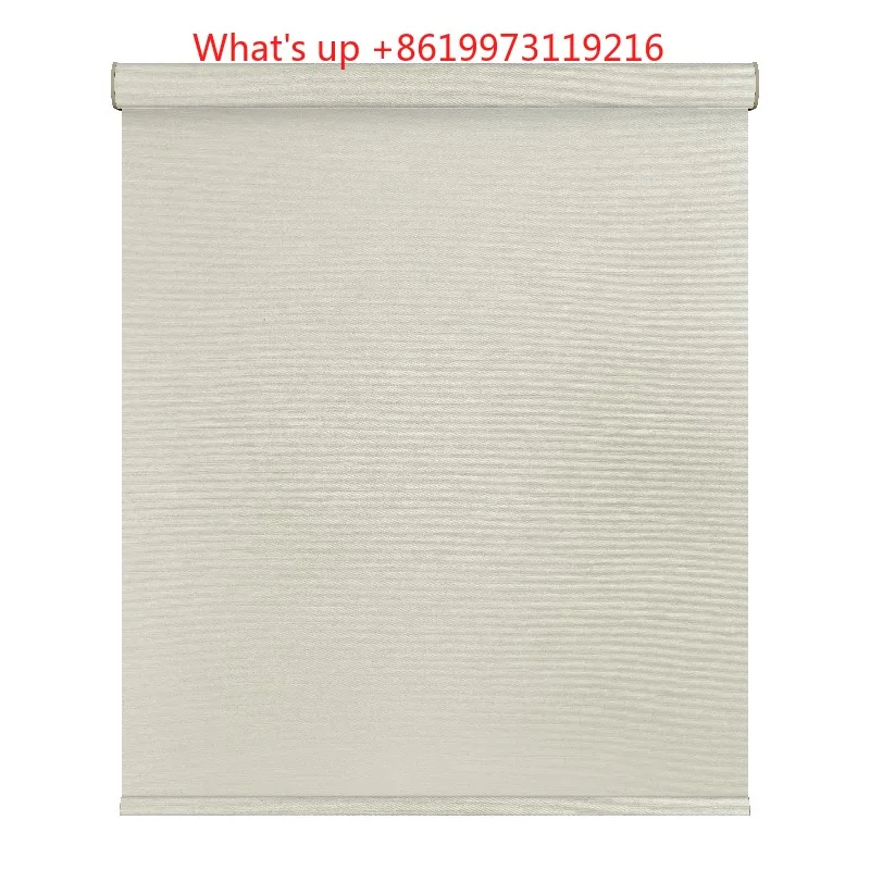 2026 Alexa Smart Cusom Electric Roller Shades WiFi Remote Control Dual Motorized Blackout Solar Blinds Shutters Home Use Fabric