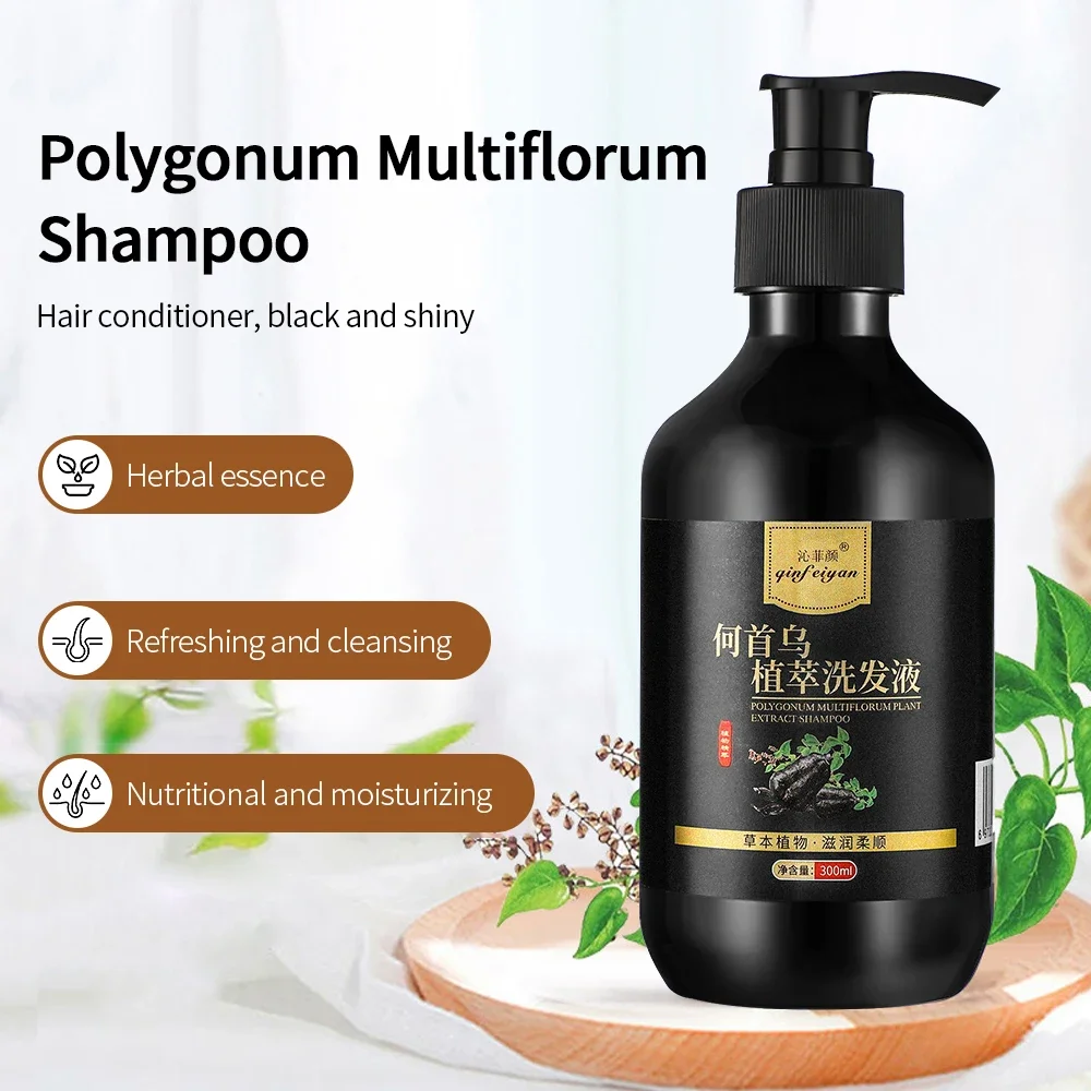 Shampoo anti-caspa para cabelos, preto, Ganoderma Polygonum Multiflorum, controle de óleo, alisamento do cabelo, fofo, 300ml