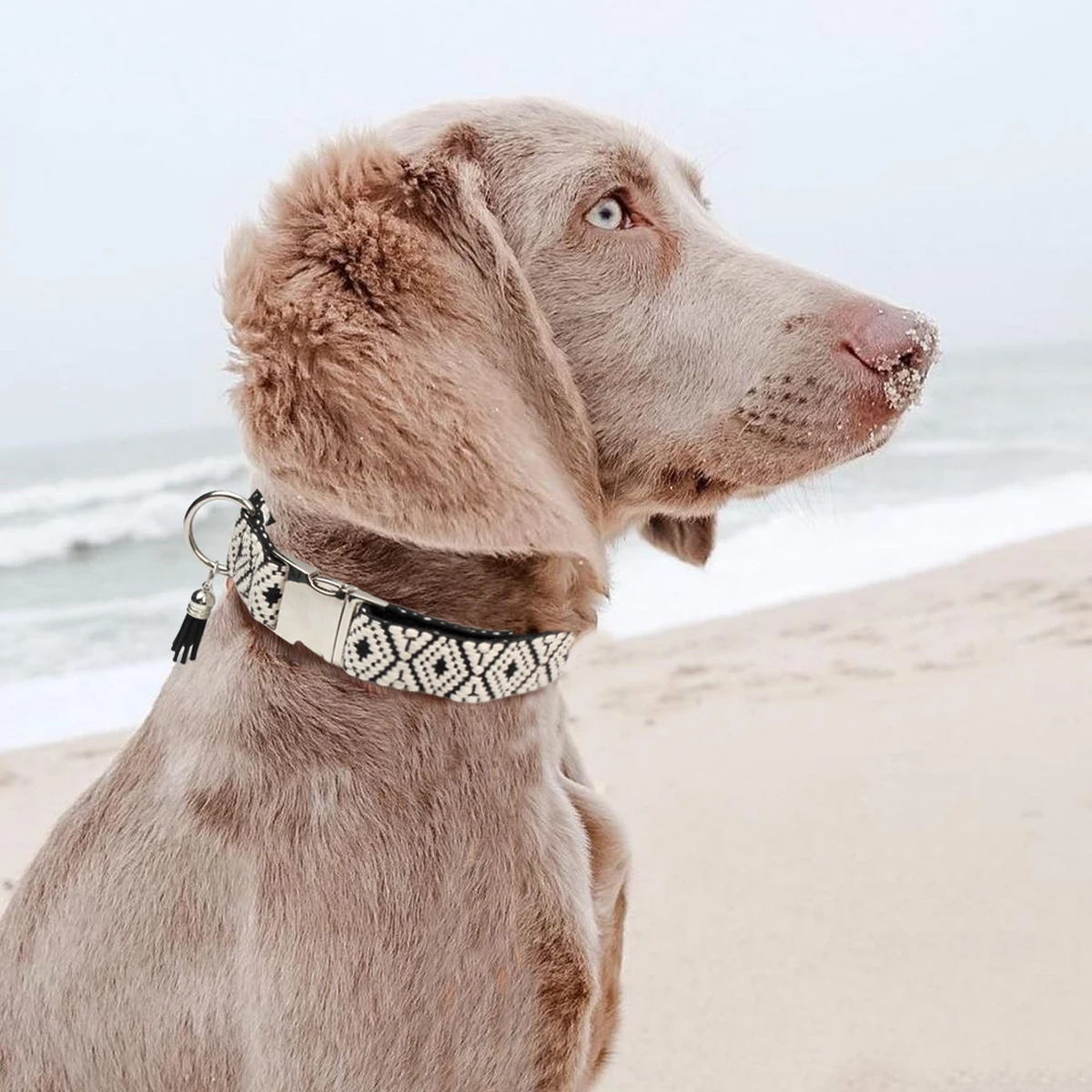Haustierhalsbänder im böhmischen Ethno-Stil für kleine, mittelgroße und große Hunde. Mehrfarbig. Wählen Sie verstellbare, luxuriöse Trend-Neuheiten – Detail 14