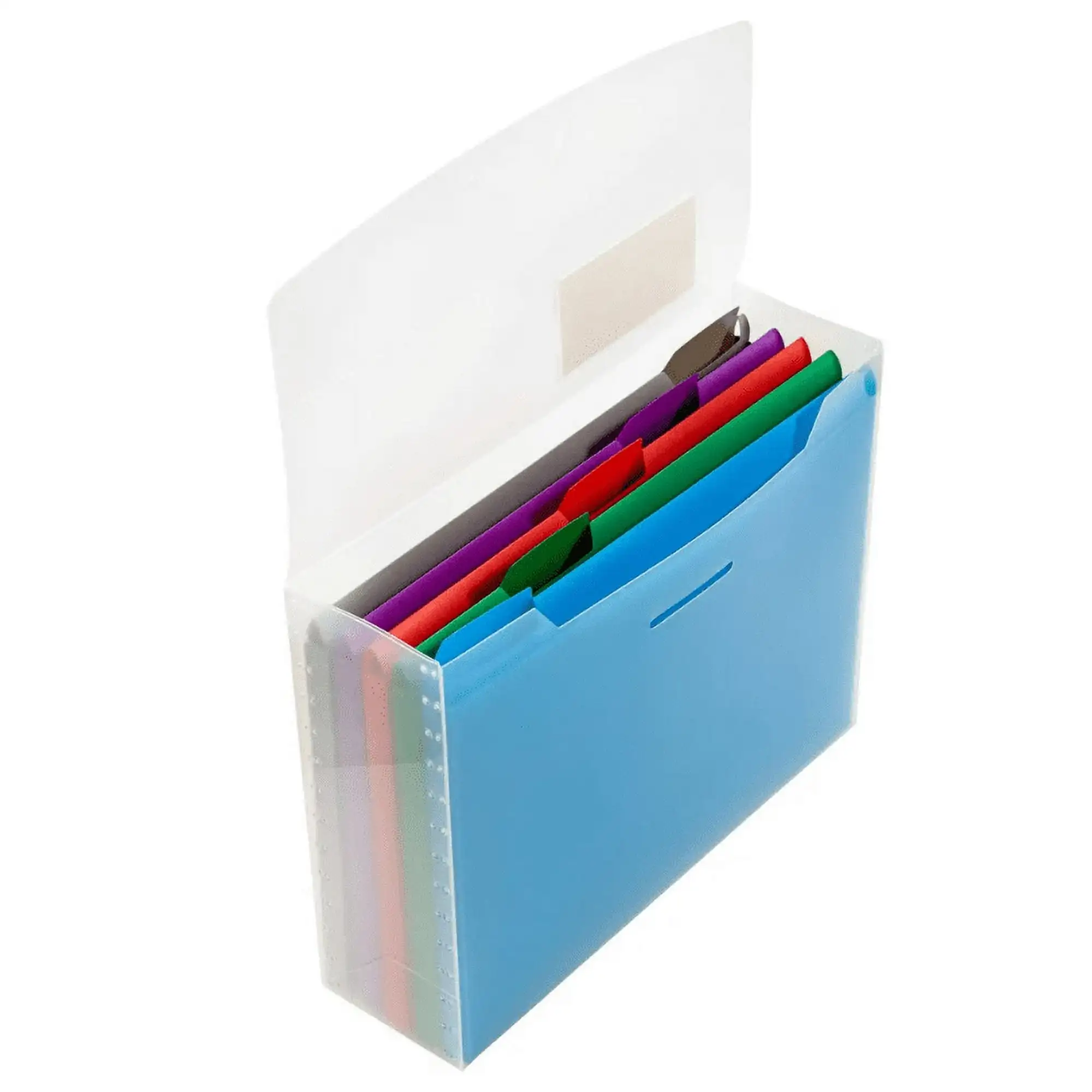 

JAM Paper Files Storage Box, Clear Box & Colored Files, 12.5 x 9.5 3.5 inches, Box Sold Individually & 5 Files