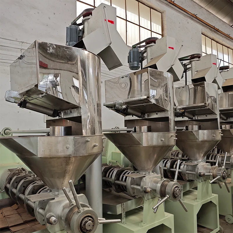 6YL Spiral Oil Press Machine 3-5T/D Palm Coconut Peanut Sunflower Seed Oil Extraction Plant for Small Mill OEM Customized