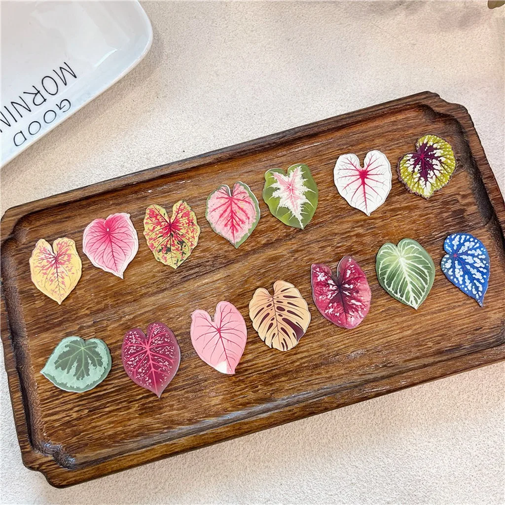 Begonia Leaf Magnet Colorful Caladium Fridge Magnet Acrylic Plant Magnet Translucent For Refrigerator Office Area Educational