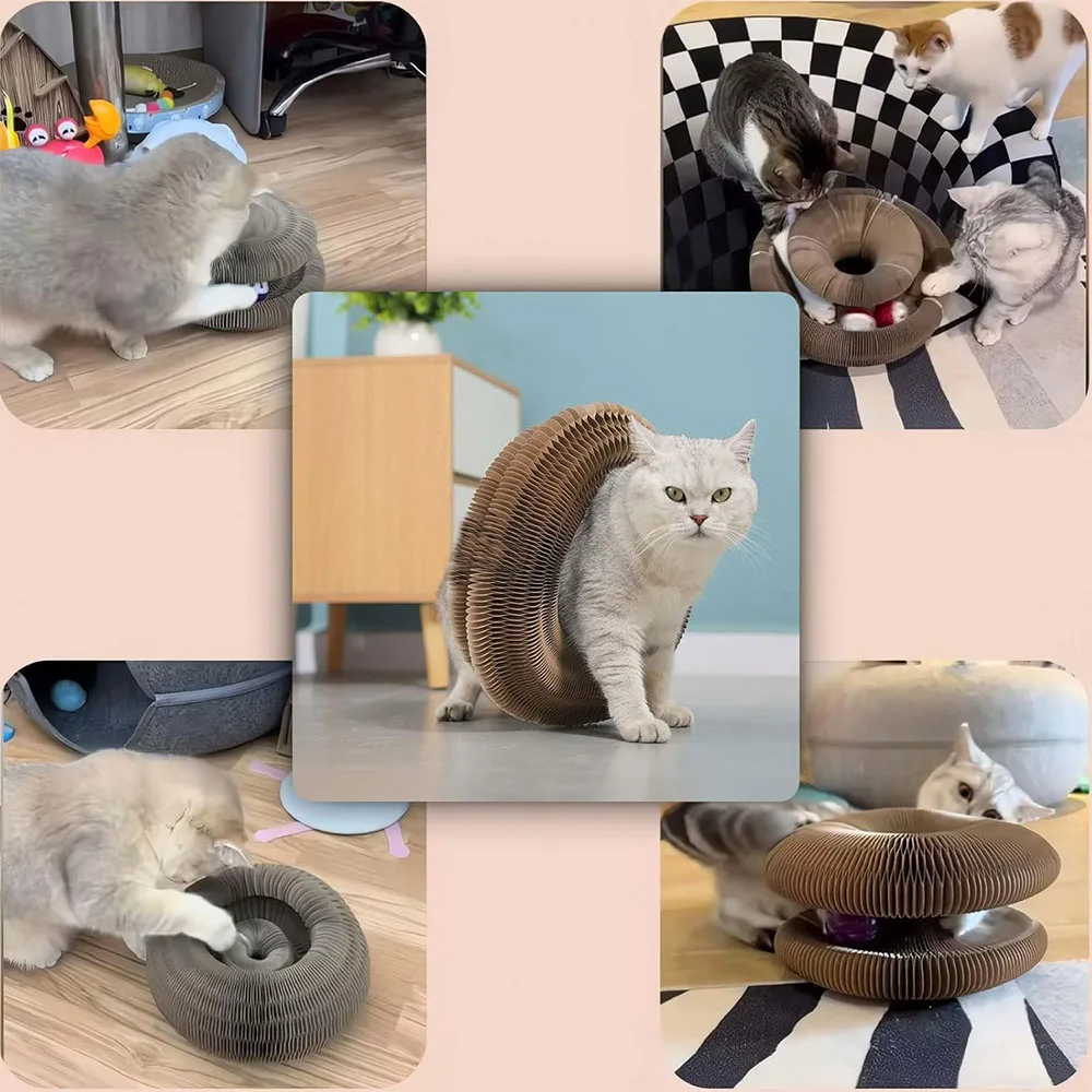 ماجيك الجهاز القط خدش مجلس التفاعلية خدش القط لعبة القط الأكورديون لعبة القط طحن مخلب خدش مجلس مستلزمات الحيوانات الأليفة #6