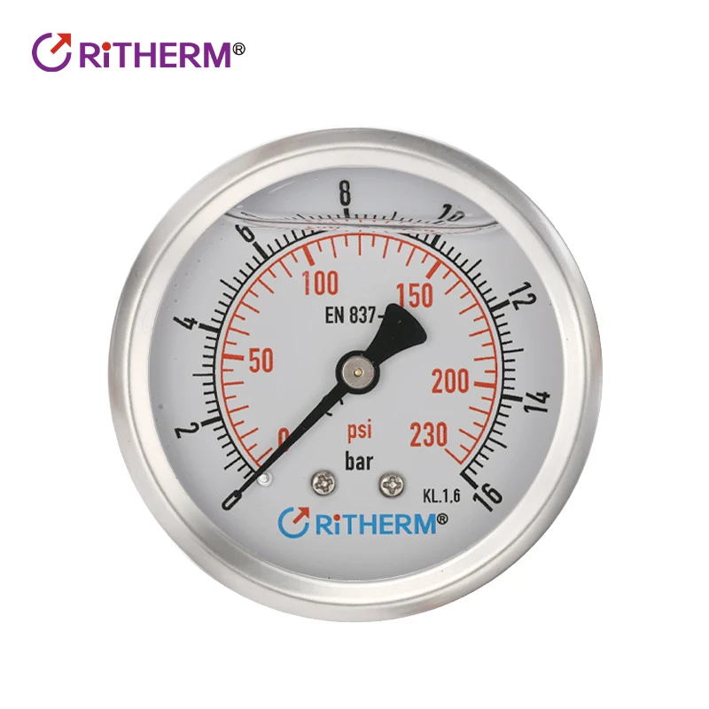 High Precision Pressure Gauge European Standard Stainless Steel Seismic Gauge YN63 Steam Hydraulic Oil Filling Gauge 16bar Axial
