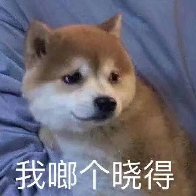 5UGNJ7Rwml7Yc2a3LVOzSs3oW1mGbl2kkiwG29xu8SC6Tv1ZPBivyTmqM9Kc3HDUfrxpbffxBkdVGZDqb3A6Vnipx9