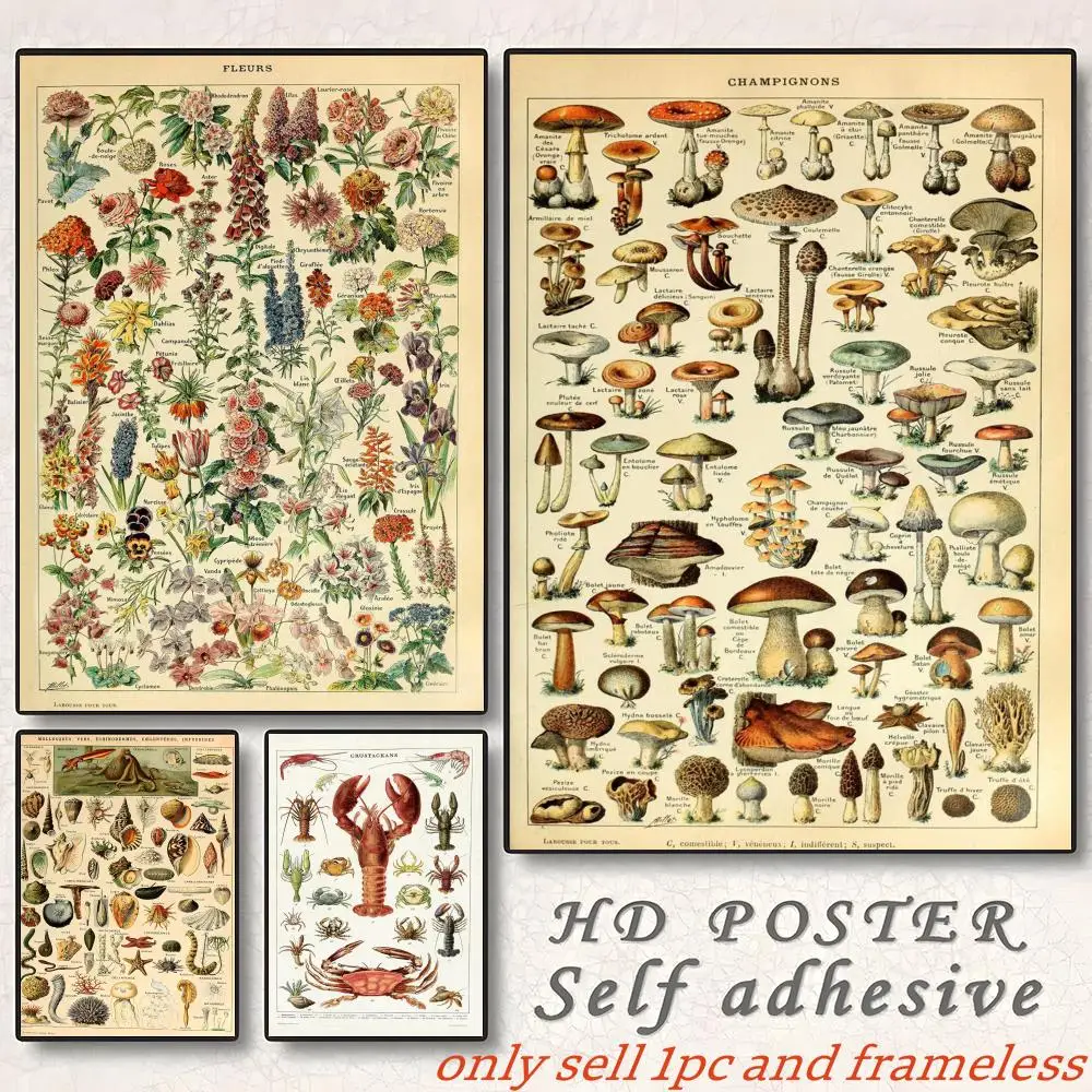 Retro Vegetable Fruit Mushroom Print Specimen Poster Gift with prints Home bedroom living room decoration promotion and display