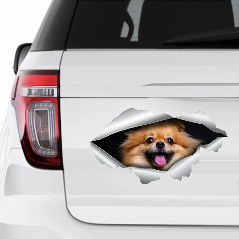 V1136# Car Sticker Pomeranian Dog Pet Waterproof Vinyl Decal Accessories Decor Pegatinas Para Coche