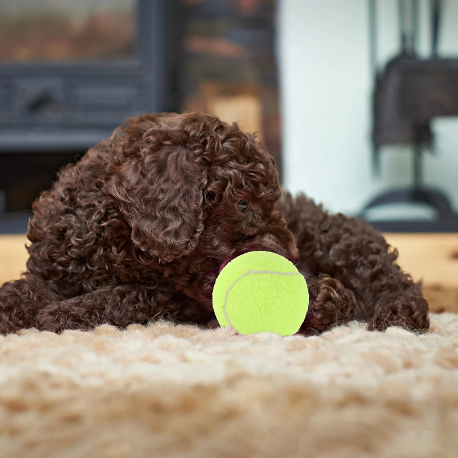 

8Pcs Tennis Balls for Dogs Training Practice Interactive Pet Playing Balls Rubber Material Indoor Outdoor Use Tennis Ball