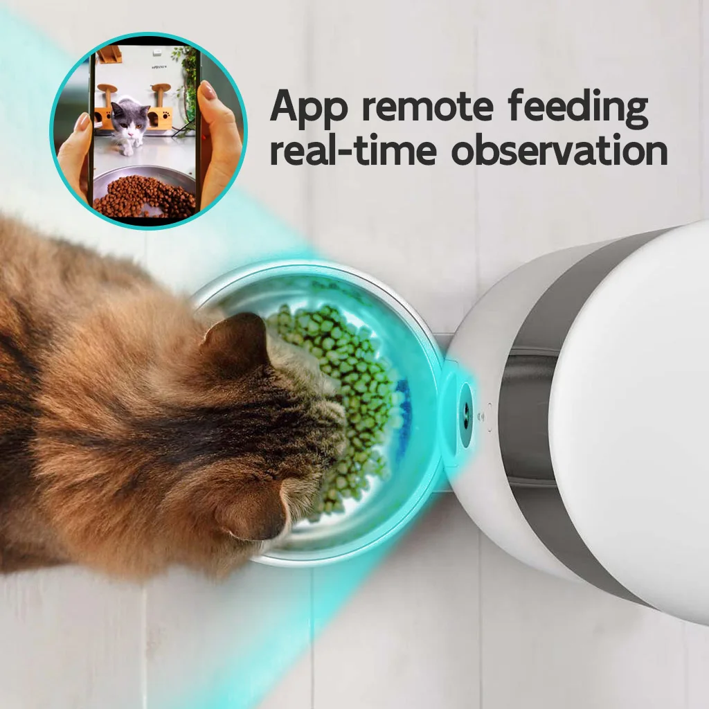 Alimentatore automatico intelligente per animali domestici WiFi Dispenser di alimenti programmabile ecologico per cani e gatti Tempi e parti di alimentazione lenta