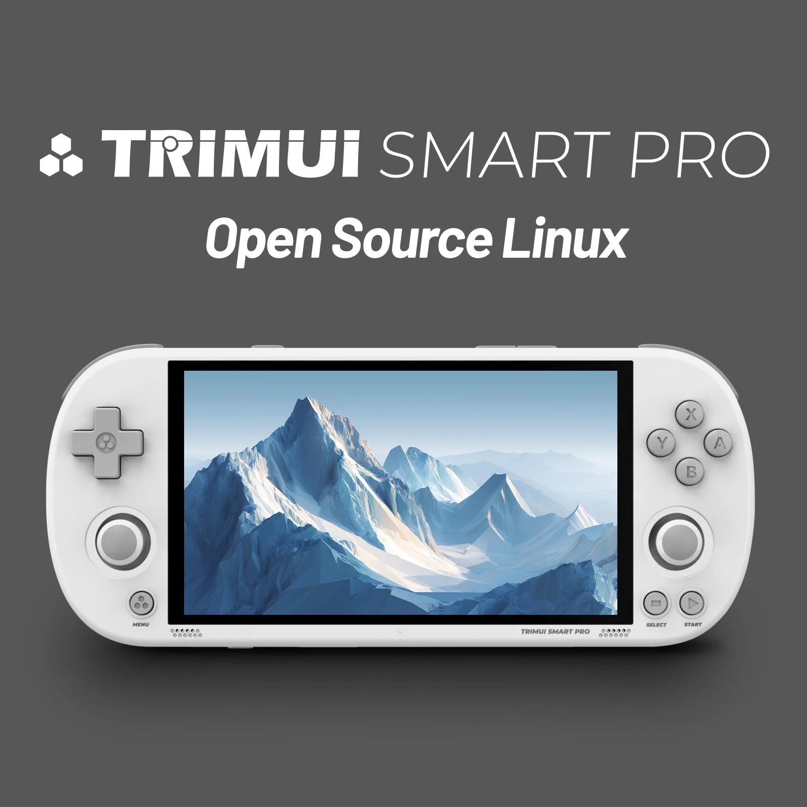Trimui Smart Pro 4.96