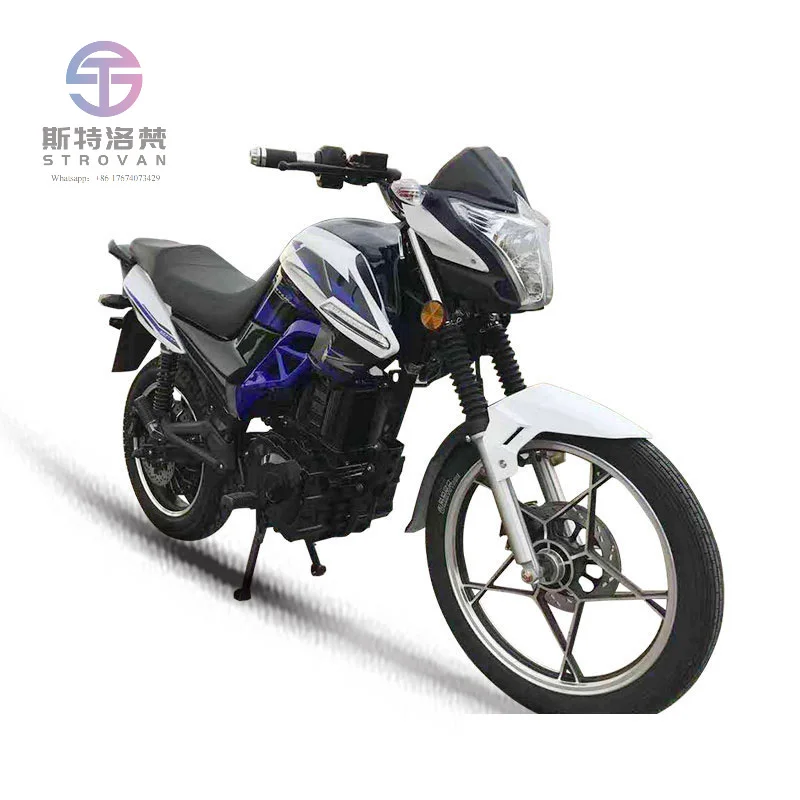 Hub Motor Sports Electric Motorcycle with Two Wheels