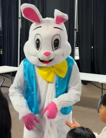 hot drop ship new discount price Easter Rabbit Bunny Rabbit Mascot Costume Adult Size Fancy Dress deguisements sexy disfraz