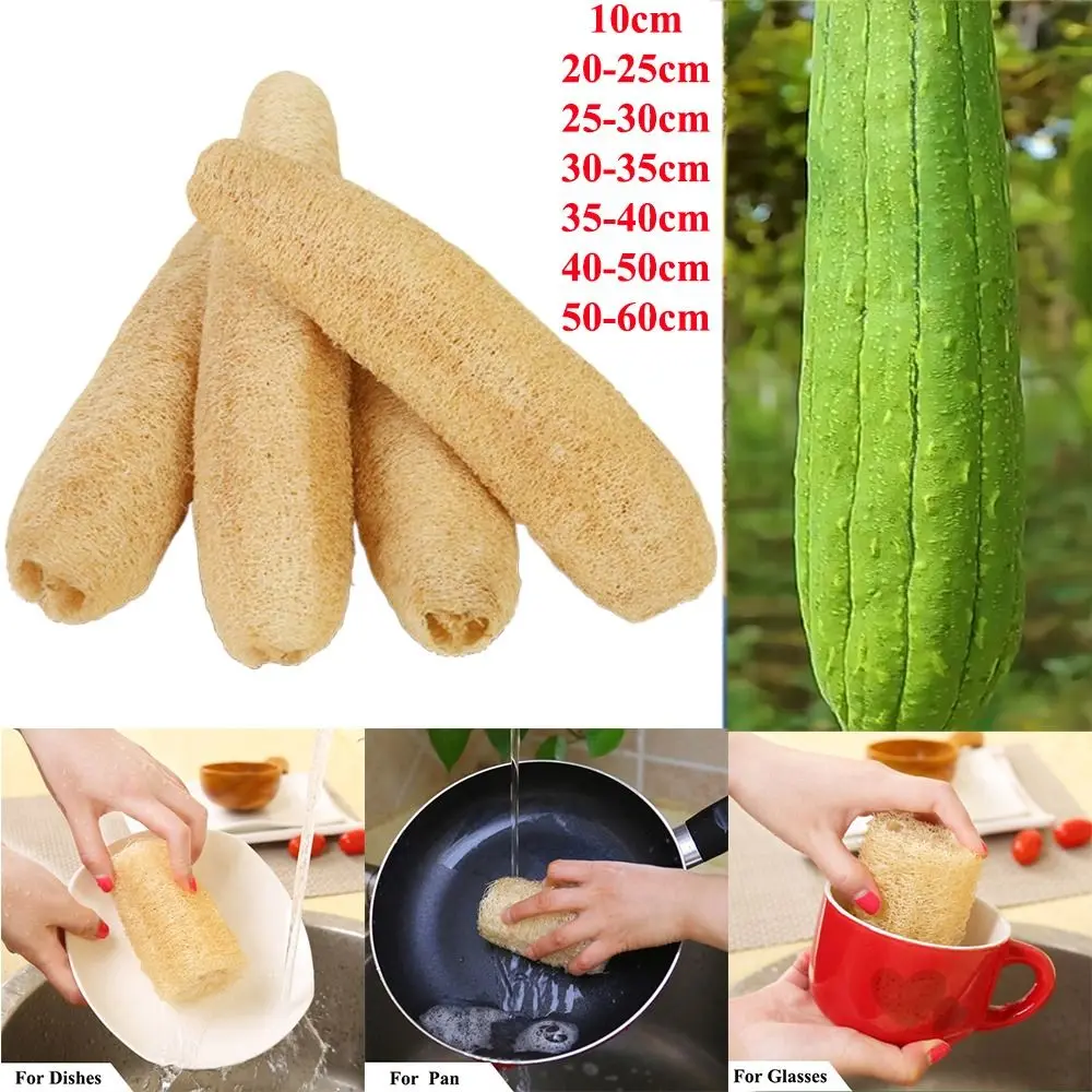 Natural Loofah Luffa Sponge Long Ecological Planting Body Shower Sponge Non-stick Good Absorbency Dish Towels Bath Kitchen NONE
