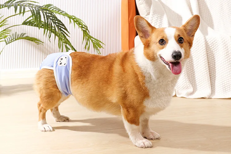 Reusable Female Dogs Diaper Pants Sanitary Female Dog Pants Diapers for Dogs Menstruation Pet Cat Physiological Safety Pants