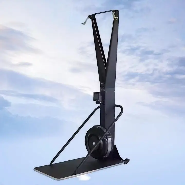 Indoor Ski Exercise Machine with Display, Wind Resistance Skiing Machine for Home Gym, Cardio Rowing Sports Equipment