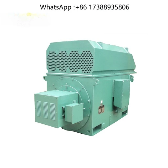 High Voltage 6KV-13.8KV Electric Motor with Asynchronous Induction Squirrel Cage Slip Ring Motor