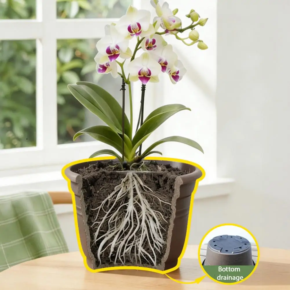 Bulb Flower Pots Indoor Outdoor Garden Planters Bulb Plant Pot with Saucer 10 Inch Wide Flowerpot with Drainage Holes for Tulips