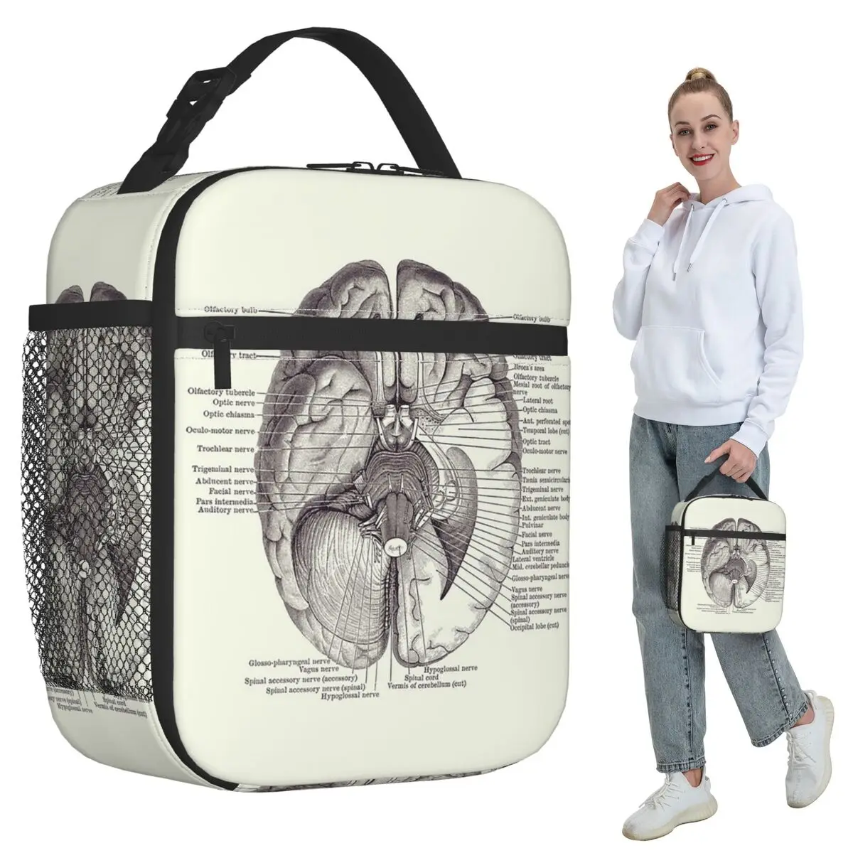 Brain Nervous System Diagram - Vintage Anatomy Insulated Lunch Bag Cooler Thermal Food Box Tote Portable Lunch Boxes Container