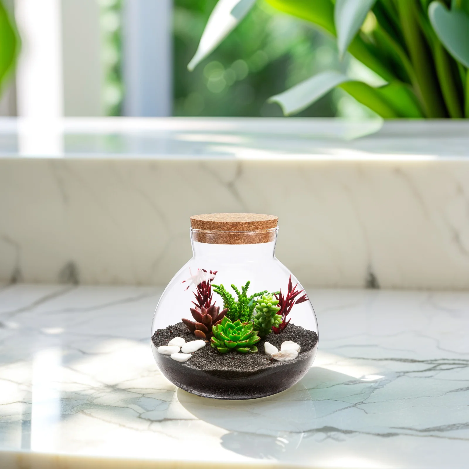 لتقوم بها بنفسك الزجاج زجاجة بيئية مستديرة 15x16 سنتيمتر شفافة المشهد الصغير تررم زجاجة نبات الطحلب ديكور المنزل #4