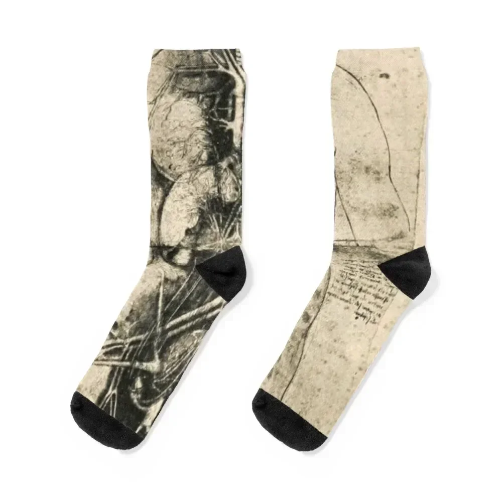 

Leonardo Da Vinci - Anatomy Socks cartoon warm winter Men's Socks Women's