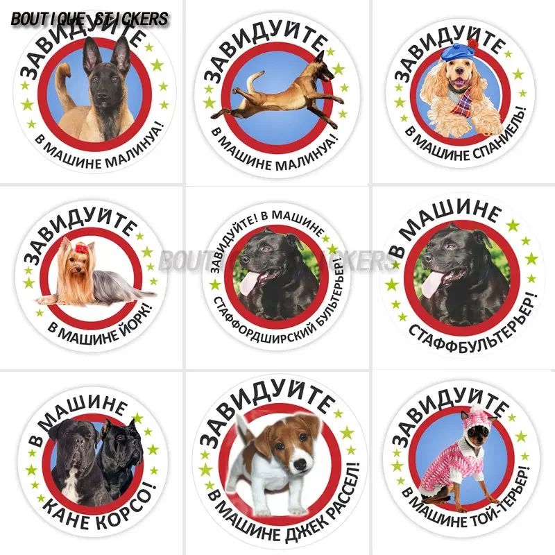

Car stickers envy Malino waterproof polyethylene stickers for cars