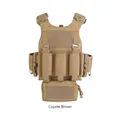 Coyote Brown