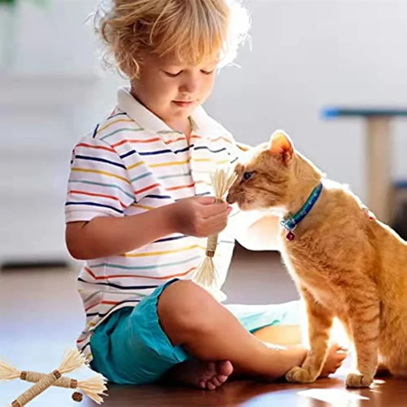 Katze Spielzeug Silvervine Kauen Stick, Kätzchen Behandeln Katzenminze Spielzeug Kitty Natürliche Sachen mit Katzenminze für Reinigung Zähne Innen Dental