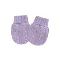 for Purple