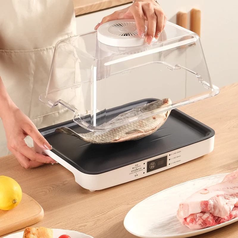 360 degree multi-directional defrosting low-energy meat defrosting machine