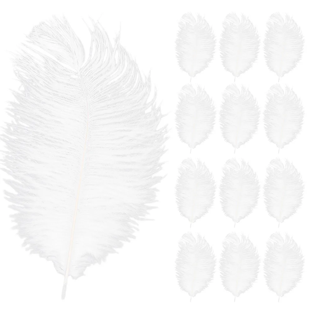 

20Pcs Natural Ostrich Plumes Delicate Soft for Wedding Party Crafts Home Decoration DIY Centerpiece Ostrich Plumes