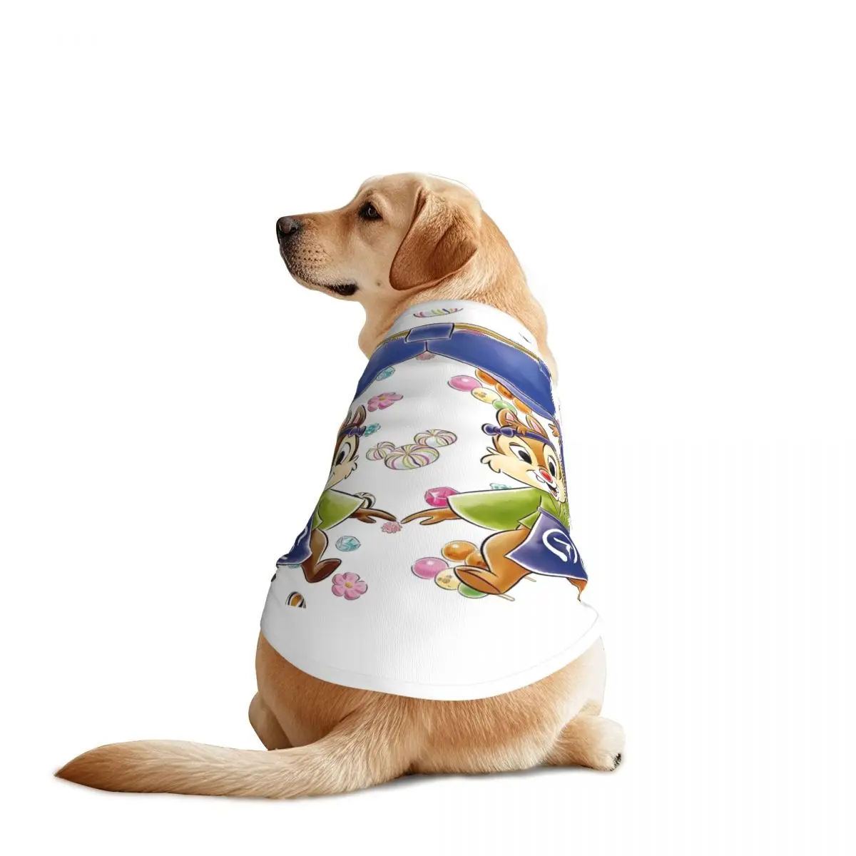 مخصص مضحك الكرتون رقاقة وديل سترات الحيوانات الأليفة جرو سترة للحيوانات الأليفة الكبيرة شبكة ملابس الحيوانات الأليفة زي الإمدادات #2