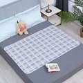 Light blue grid